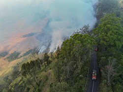 5 Fakta Kebakaran Bromo yang Bikin Savana Ditutup