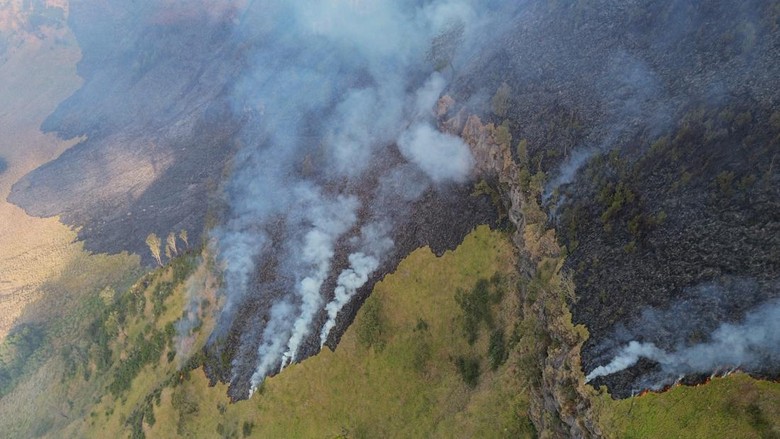 Amuk Si Jago Merah Hanguskan Hampir 8 Hektare Kawasan Bromo