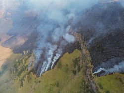 Amuk Si Jago Merah Hanguskan Hampir 8 Hektare Kawasan Bromo