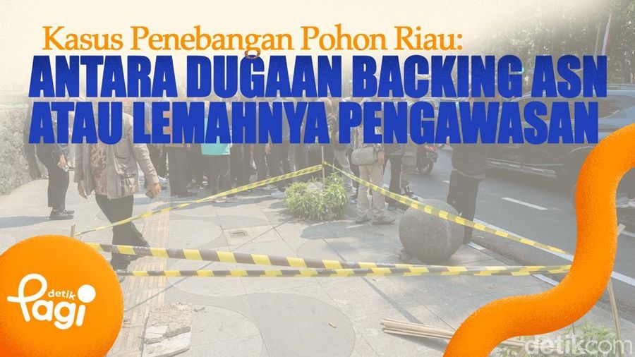 Video: Kasus Penebangan Pohon Riau: Antara Dugaan Backing ASN atau Lemahnya Pengawasan