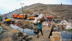 Era Controlled Landfill, Penghasilan Pemulung Bantargebang Merosot Drastis
