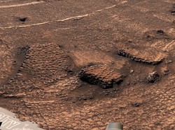 Wah! Ada Lanskap Sarang Lebah Misterius di Mars