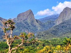 2 Pendaki Gunung Piramid Bondowoso Dilaporkan Hilang Kontak