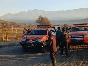 Kembali Membara, Petugas Kejar Kobaran Api hingga Lereng Bromo