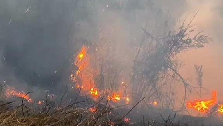 Pemadaman Kebakaran di Kaldera Bromo Terkendala Medan