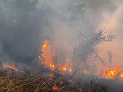 Pemadaman Kebakaran di Kaldera Bromo Terkendala Medan