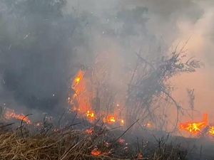 Pemadaman Kebakaran di Kaldera Bromo Terkendala Medan