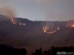 Kebakaran Hutan Merembet ke Savana Gunung Bromo, Petugas Bikin Sekat