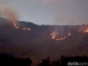 Kebakaran Hutan Merembet ke Savana Gunung Bromo!