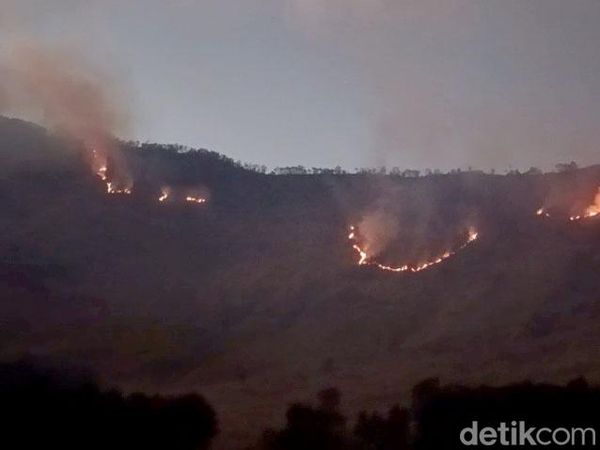 Kebakaran Hutan Blok Bantengan
