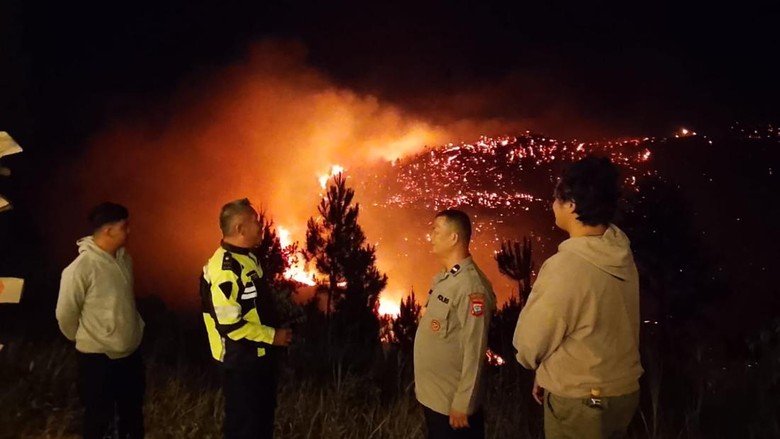 300 Ha Hutan Lindung di Gunung Soputan Terbakar Diduga Dipicu Puntung Rokok