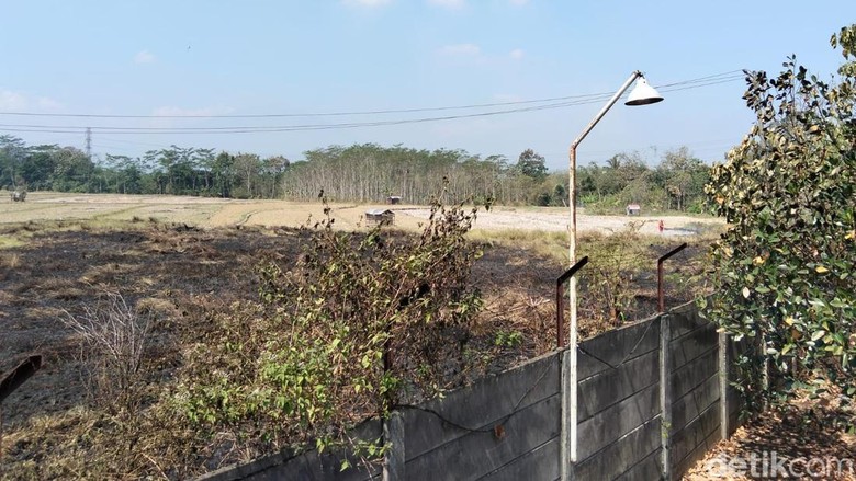 2 Hektare Lahan di Secang Magelang Terbakar
