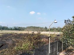 2 Hektare Lahan di Secang Magelang Terbakar