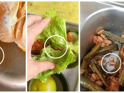 Viral Cacing-Ulat di Menu MBG Musi Rawas, Dua Desa Tolak Distribusi Makanan