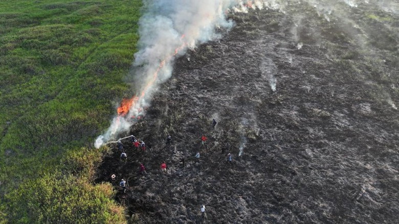 Pemadaman Karhutla di Lahan Gambut OKI-Muara Enim Dilanjutkan