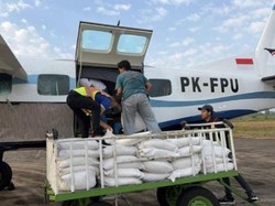 BNPB Siapkan 31 Ton Garam untuk Modifikasi Cuaca di Kalteng