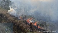 Bromo Kebakaran! Wisatawan Dilarang Masuk ke Area Savana