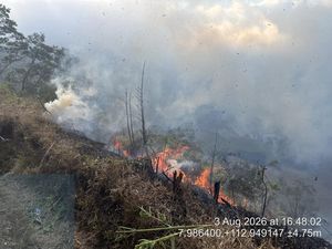 Kebakaran Kaldera Gunung Bromo Hanguskan Sejumlah Vegetasi