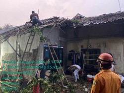 Hujan Deras Guyur Bogor, 1 Pohon Tumbang Timpa Atap Rumah Warga