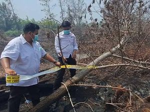 Polisi Olah TKP dan Kumpulkan Barbuk Karhutla di Palangka Raya