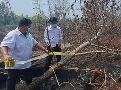 Polisi Olah TKP dan Kumpulkan Barbuk Karhutla di Palangka Raya
