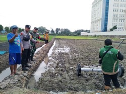 Dukung Ketahanan Pangan, Polisi-TNI Kawal Tanam Padi Modern di Sidoarjo