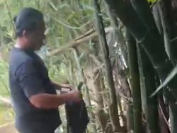 Pengedar Sembunyikan Puluhan Paket Narkoba di Pohon Bambu Deli Serdang