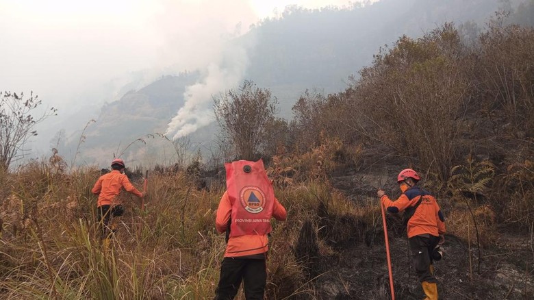Kebakaran Bromo Meluas ke Probolinggo, Luas Terbakar Hampir 8 Hektare