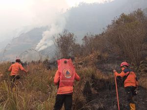 Kebakaran Bromo Meluas ke Probolinggo, Luas Terbakar Hampir 8 Hektare
