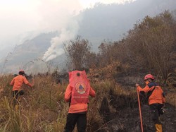 Kebakaran Bromo Meluas ke Probolinggo, Luas Terbakar Hampir 8 Hektare
