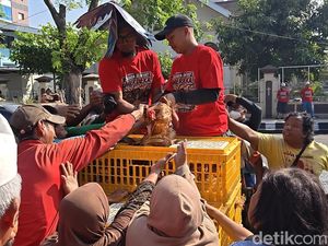 Protes Harga Pakan, Peternak Solo Raya Bagi-bagi Ayam ke Warga