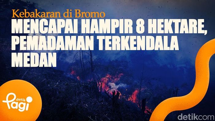 Video: Kebakaran di Bromo Mencapai Hampir 8 Hektare, Pemadaman Terkendala Medan