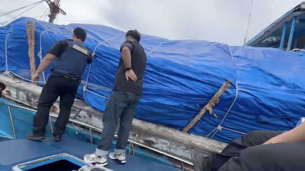 Direktorat Jenderal Bea dan Cukai (DJBC) keberhasil menggagalkan upaya penyelundupan 99,5 ton rotan utuh nan diduga bakal diekspor secara terlarangan ke Tawau, Malaysia. (Dok. Direktorat Jenderal Bea dan Cukai)