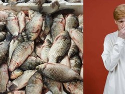 Duh! Tangki Saus Ikan Terbengkalai Bikin Kota Ini Bau Selama 20 Tahun