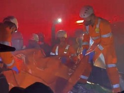 Kronologi Taufik Tewas Terjebak Karhutla Ketapang, Diduga Jatuh-Pingsan