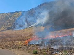 Akses Jemplang Ditutup Imbas Kebakaran Bromo, Tarif Jip Terancam Naik