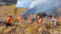 Bromo Kebakaran, BNPB Kerahkan 2 Helikopter Water Bombing