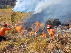 Video Kebakaran Hutan Bromo Meluas, Lahan Terbakar Capai 50 Hektare