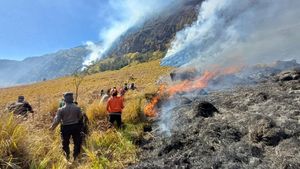 Kebakaran Hutan Bromo Meluas