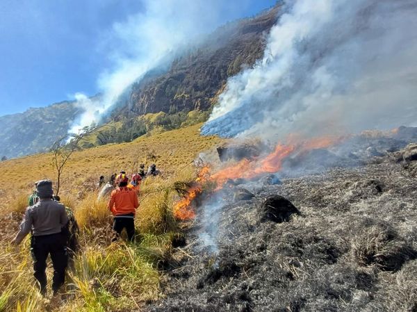Kebakaran Hutan Bromo Meluas