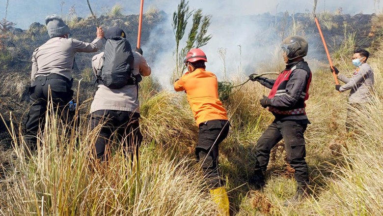 Kebakaran Bromo Belum Padam, Kemenhut Kerahkan Operasi Terpadu