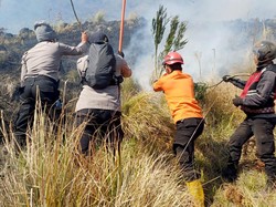Kebakaran Bromo Belum Padam, Kemenhut Kerahkan Operasi Terpadu
