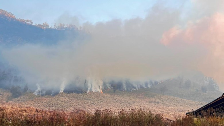 Titik Api Kebakaran Hutan Bromo Sudah Sampai di Kabupaten Malang