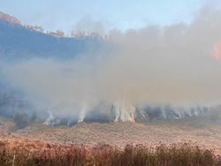 239,2 Ha Lahan dan Hutan di Jatim Terbakar Selama Musim Kemarau ini