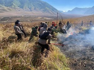 Kebakaran Bromo Tembus 127 Hektare, Menjalar ke Wisata B29