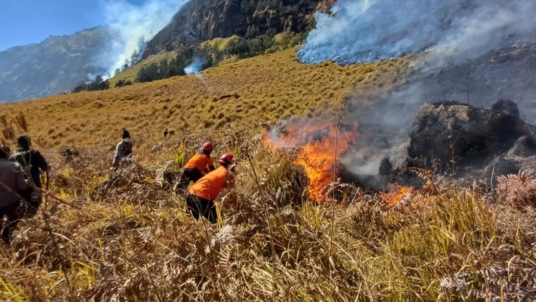 Kebakaran Bromo Terus Meluas, Lahan Terbakar Diperkirakan 10 Hektare