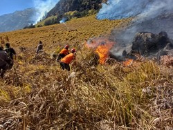 Kebakaran Bromo Terus Meluas, Lahan Terbakar Diperkirakan 10 Hektare