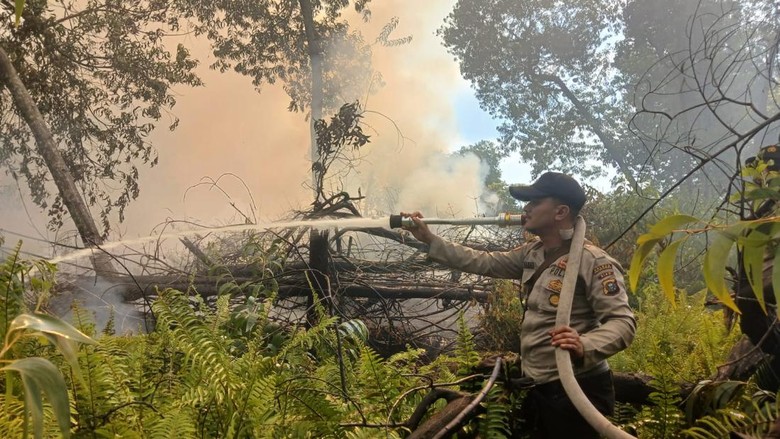 Polisi-TNI Padamkan Karhutla di Pelalawan, Heli Water Bombing Diturunkan