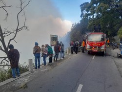 Luas Lahan Terbakar di Kaldera Bromo Capai 50 Hektare