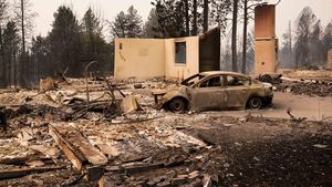 Foto: Permukiman di Washington Tinggal Reruntuhan Usai Kebakaran Hutan